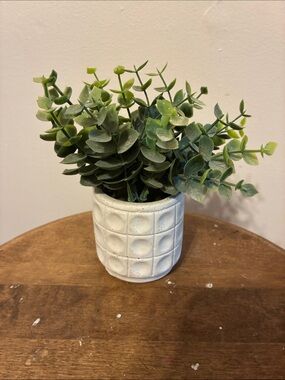 Green Faux Eucalyptus in White Textured Ceramic Planter - Home Accents